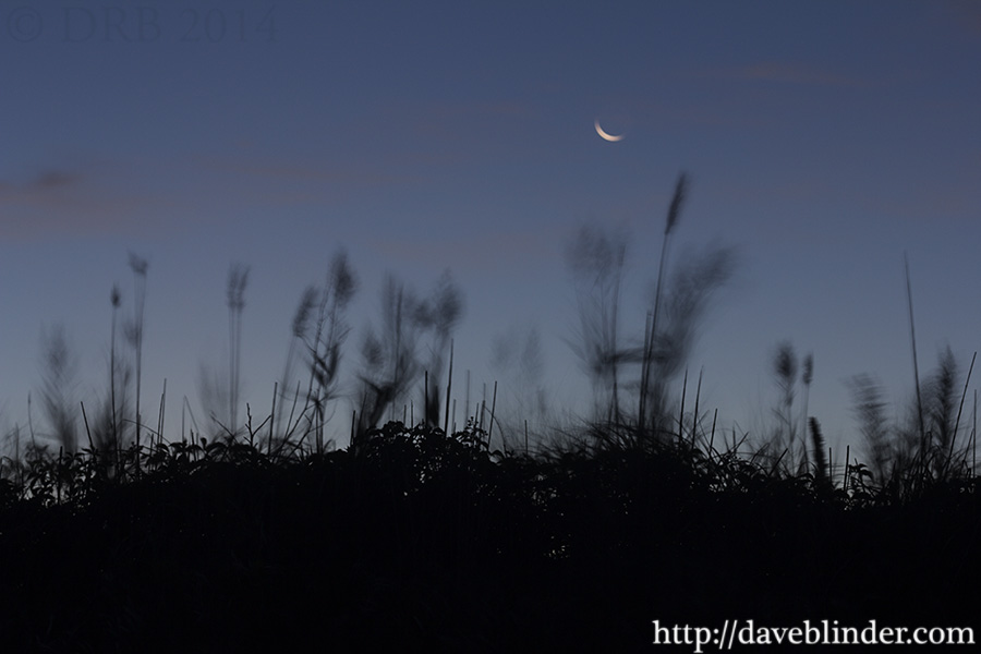 NJ Shore Night Photo