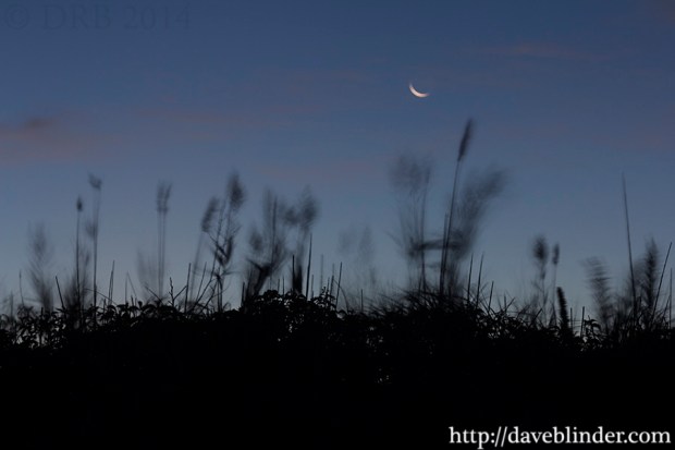 NJ Shore Night Photo