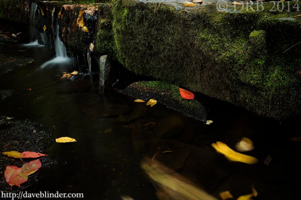 NJ Landscape Photographer