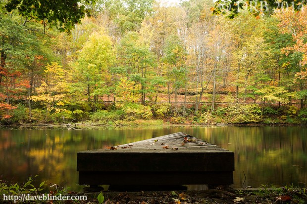New Jersey Fall Landscape Photo