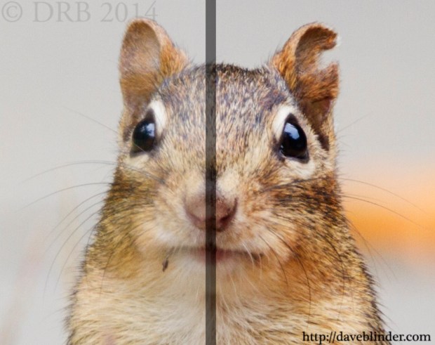 nature photography photoshop workflow