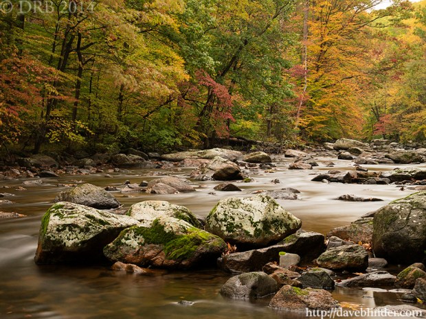 NJ nature photographer