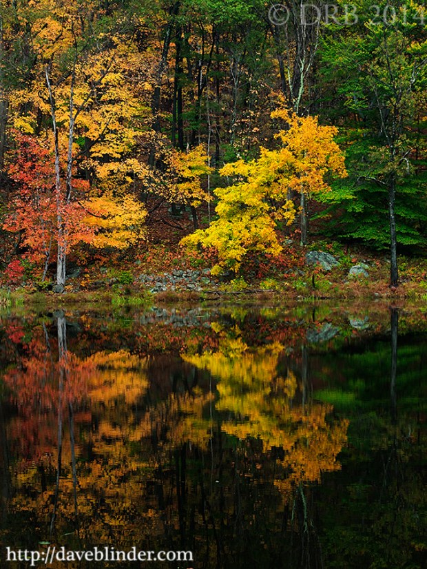 New Jersey Fine Art Photo