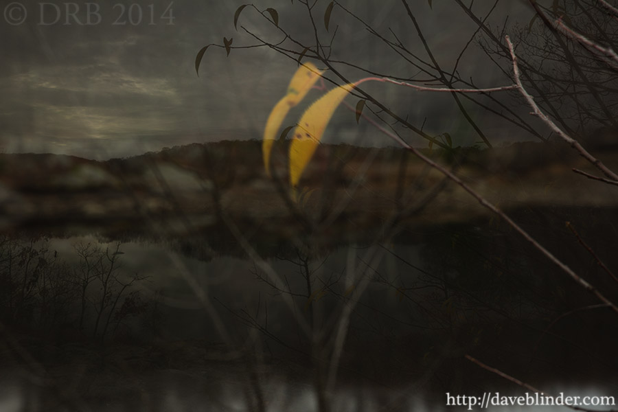 New Jersey Art Photo