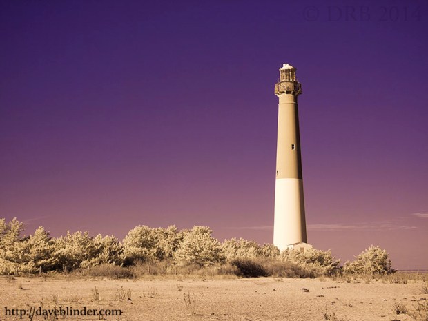 New Jersey Infrared Nature Photo