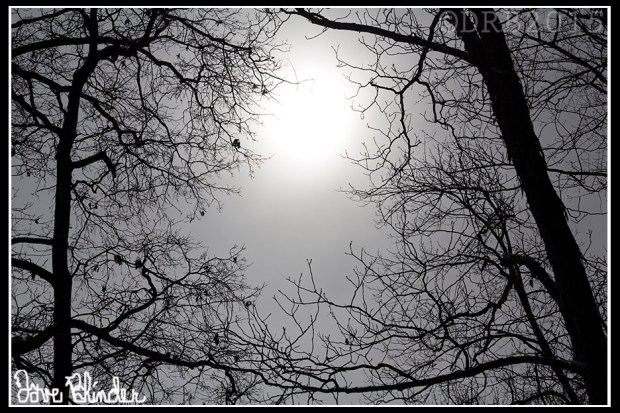 New Jersey nature photography