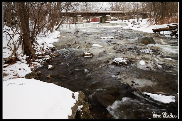 NJ Nature Photography