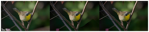 Photoshop Retouching Background