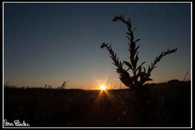 New Jersey Fine Art Photography