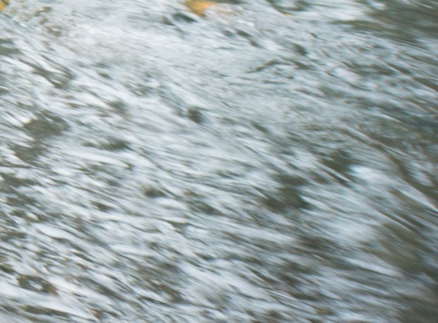 Opteka Lower Right Crop