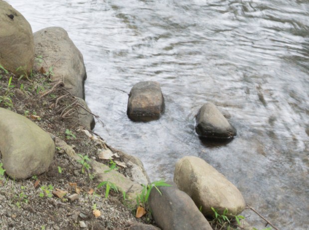 Tamron Focal Point Crop 15mm