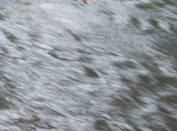 Tamron Lower Right Crop