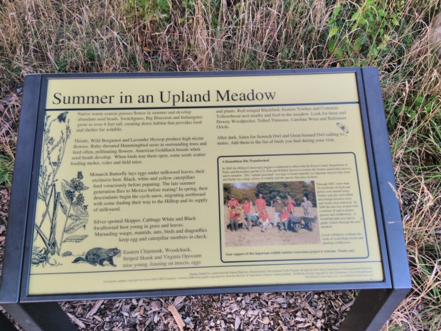 Summer in an Upland Meadow Nature signage