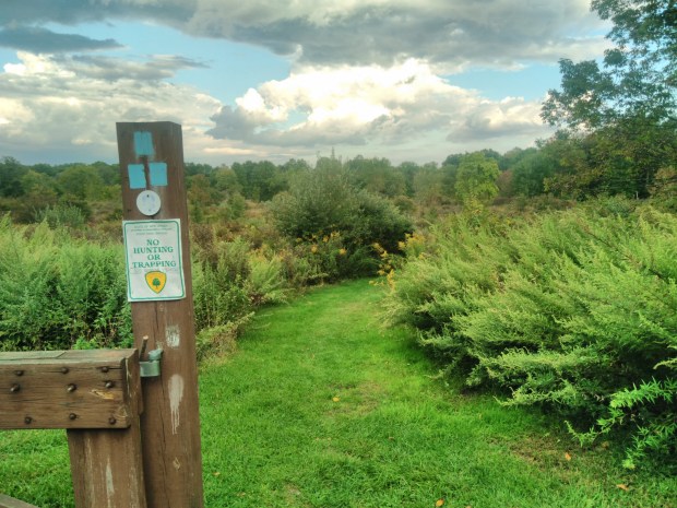 New Jersey outdoor photography