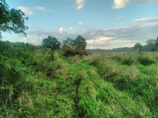 NJ Nature Photography