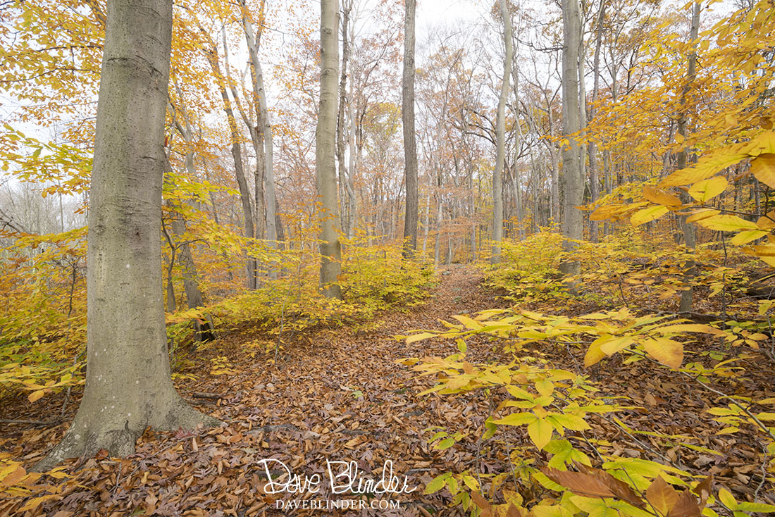 New Jersey Fine Art Landscape Photography by Dave Blinder