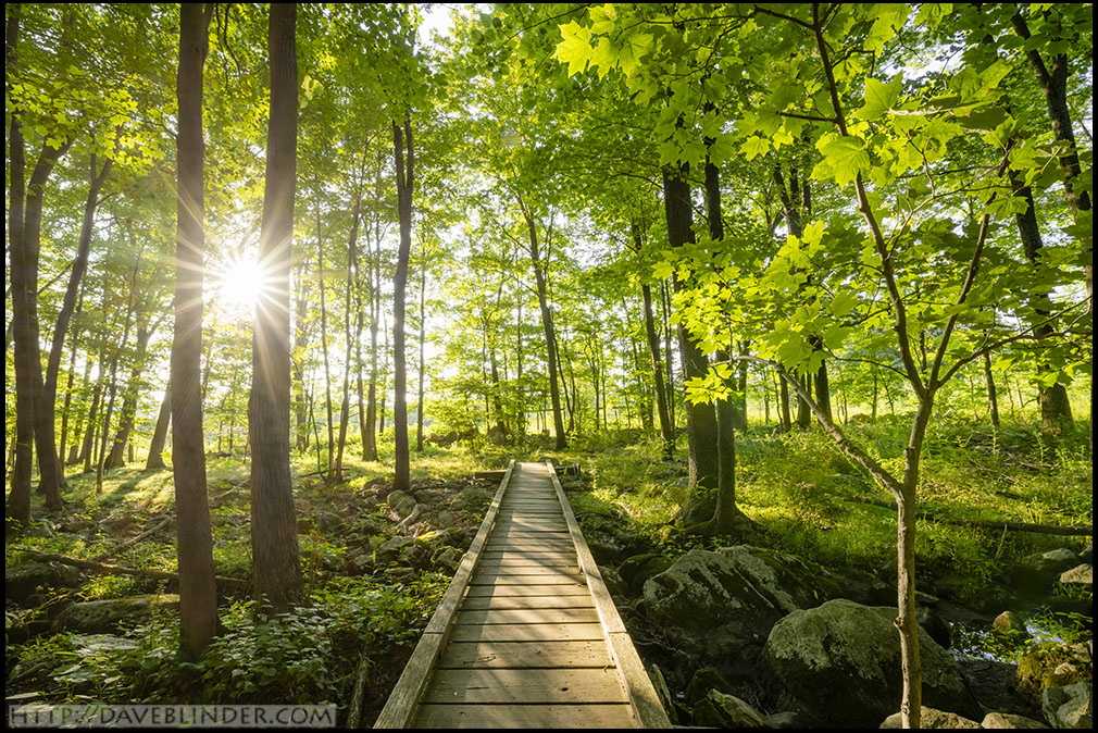 NJ Fine Art Landscape Photography