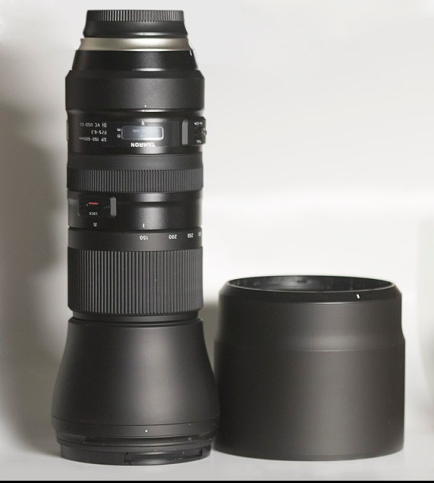 Bird Photography DSLR Lens