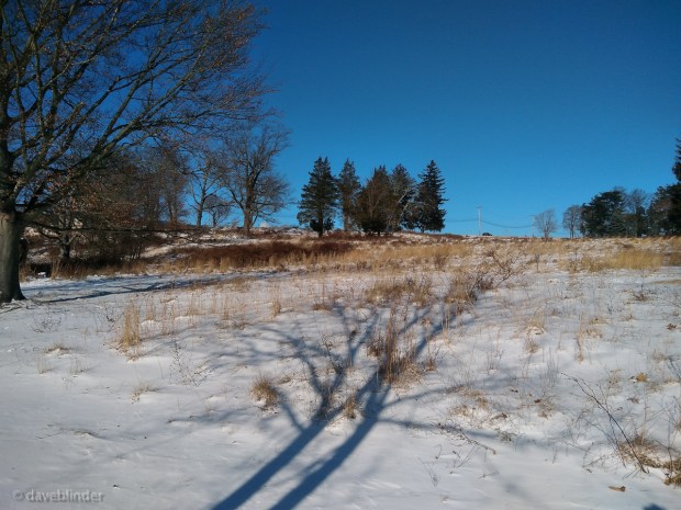 Central Park of Morris