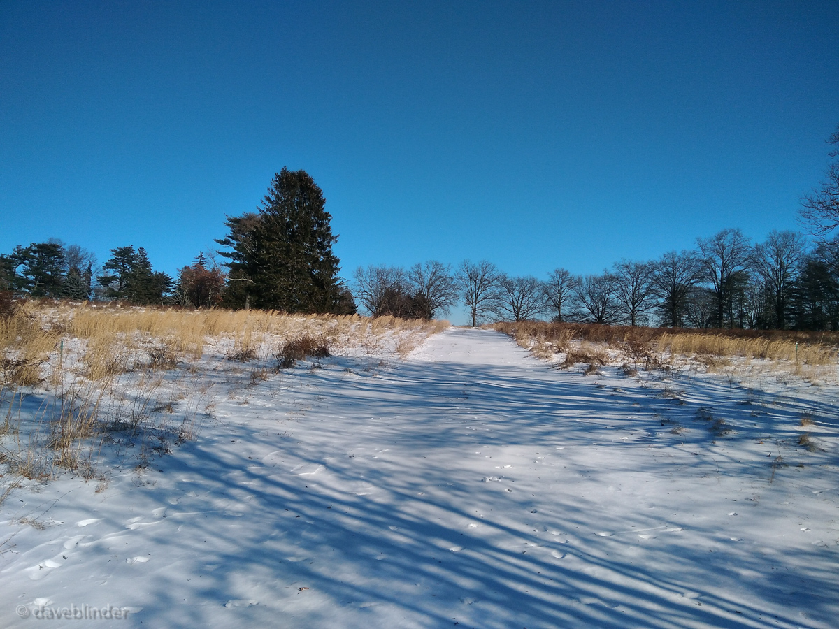 New Jersey hiking nature picture