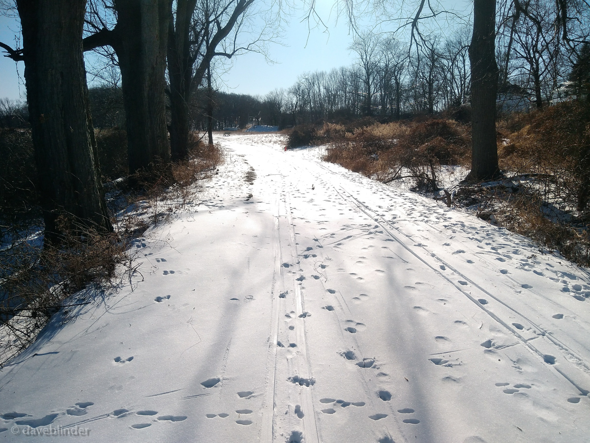X-country skiing NJ