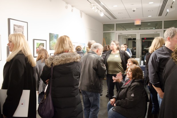 Morris Museum Visitors