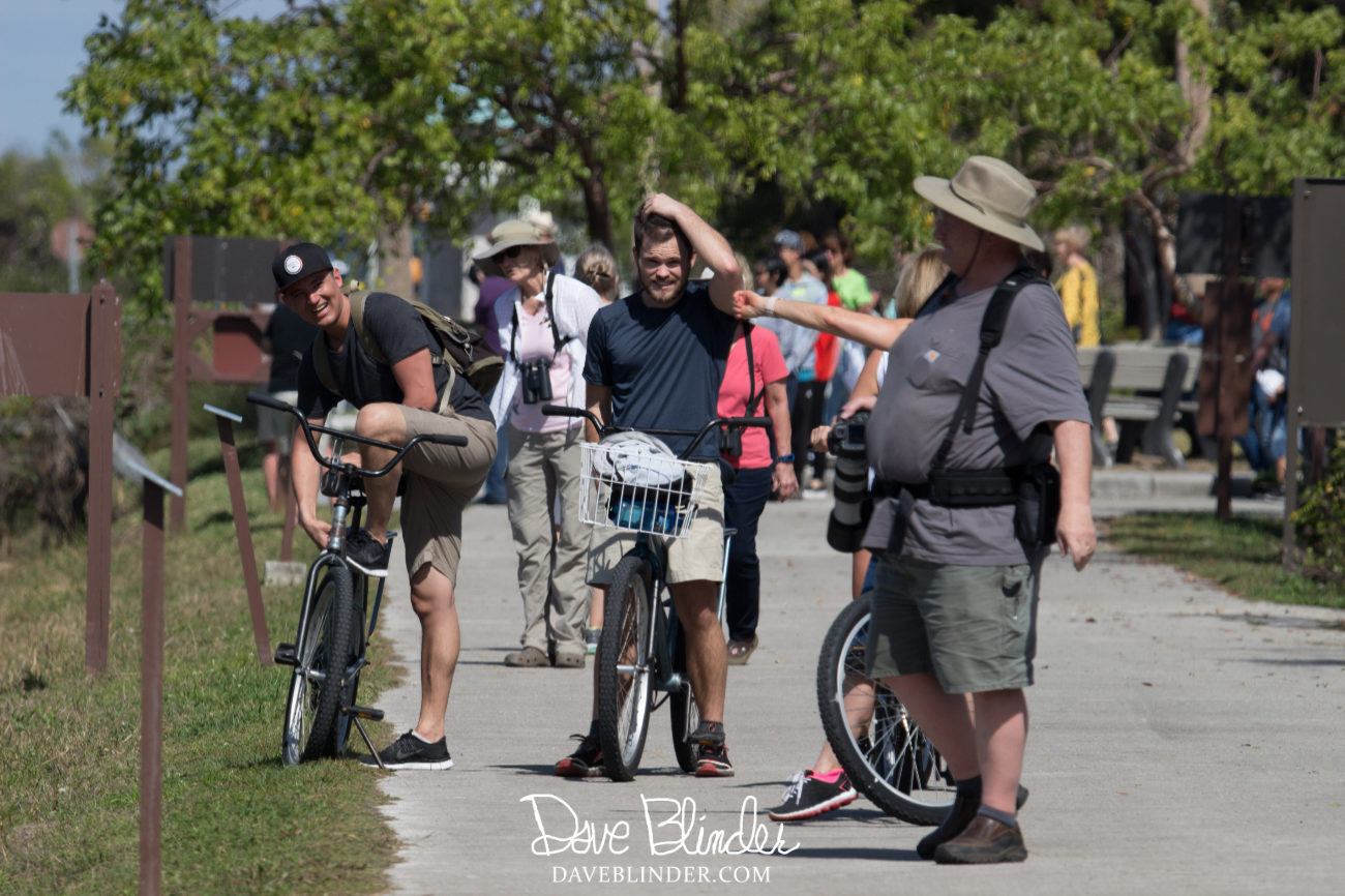 Shark Valley Miami Picture