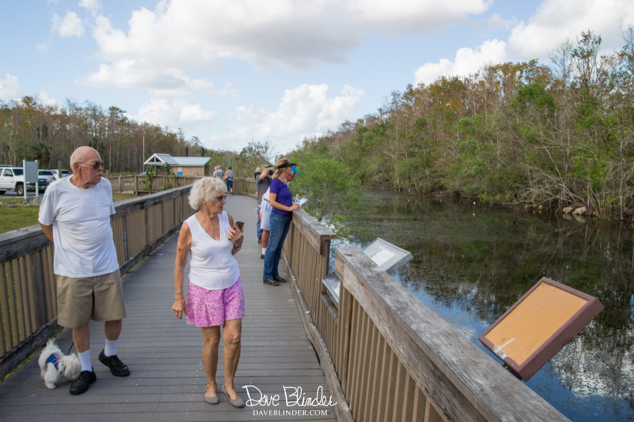 Everglades Florida dog friendly