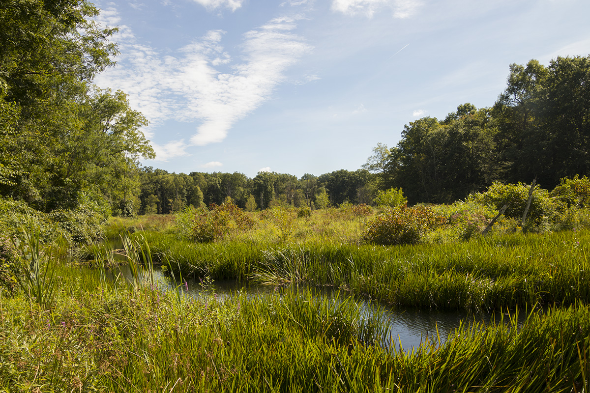 morris county new jersey hiking