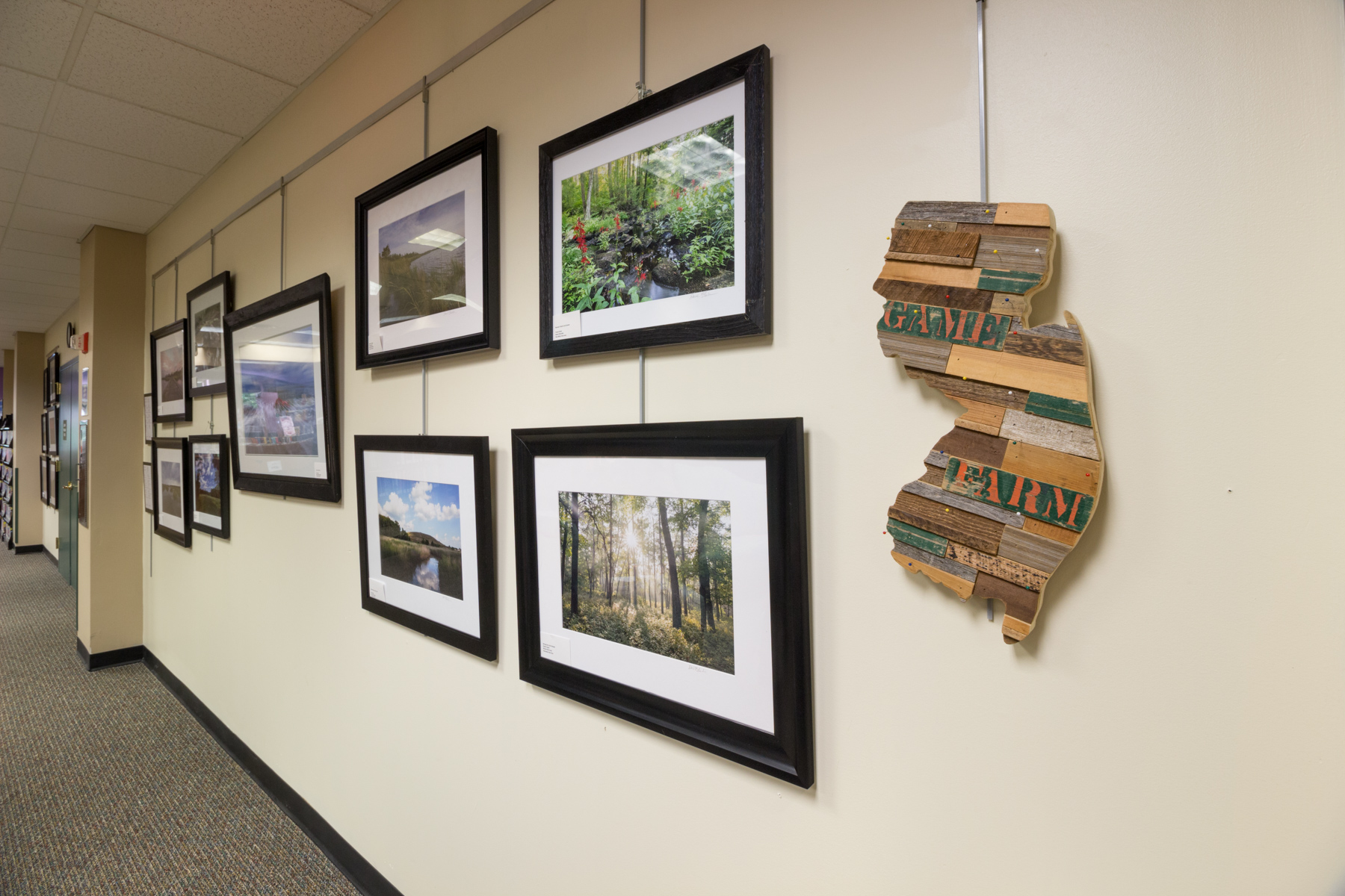 NJ Landscape Photographer