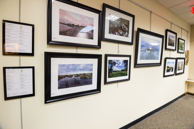 NJ local artwork for sale