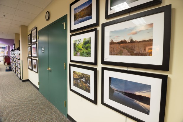 Somerset County NJ art exhibit