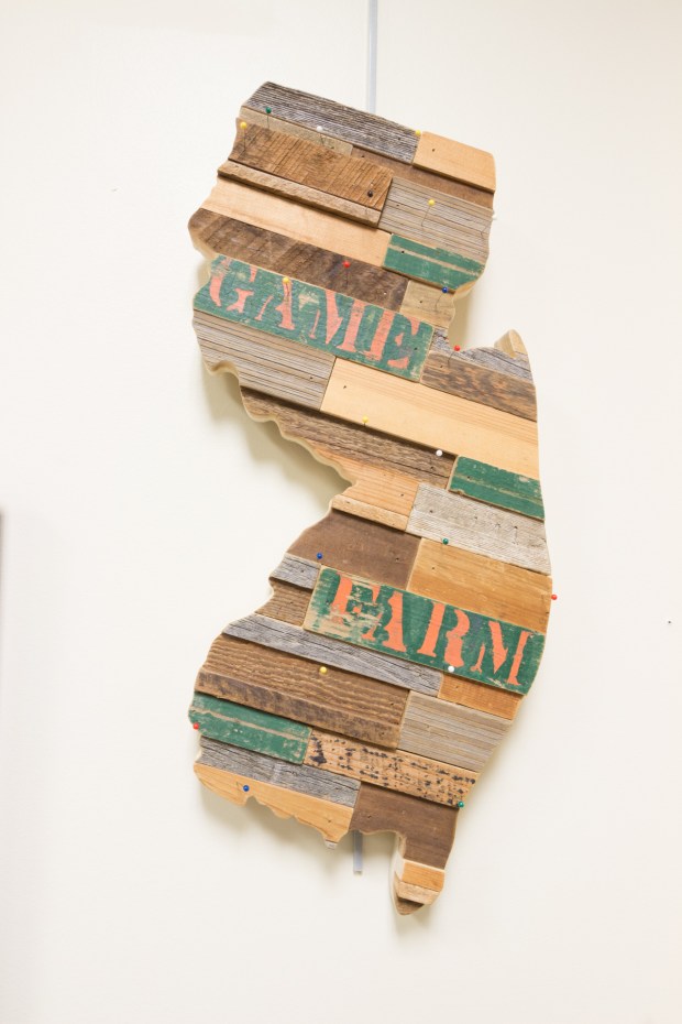 DBlinder Landscapes of NJ Warren Library-9738