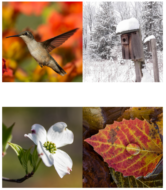 Dave Blinder Weichert Realtors Mountain Lakes NJ