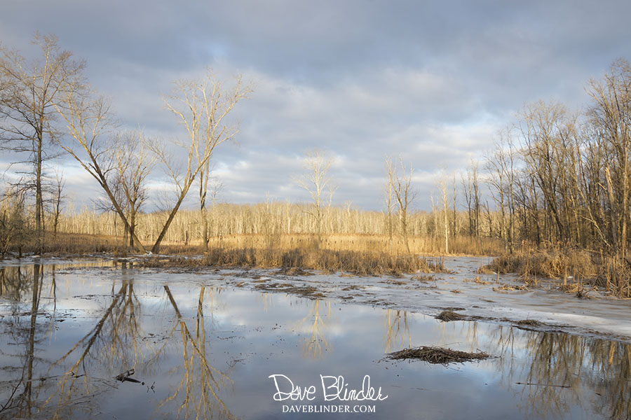 troy meadows wetlands