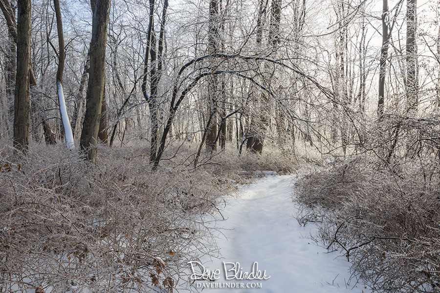 Morristown National Historic Park hiking