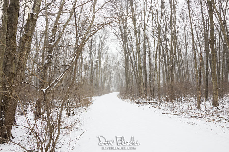 tourne park denville picture