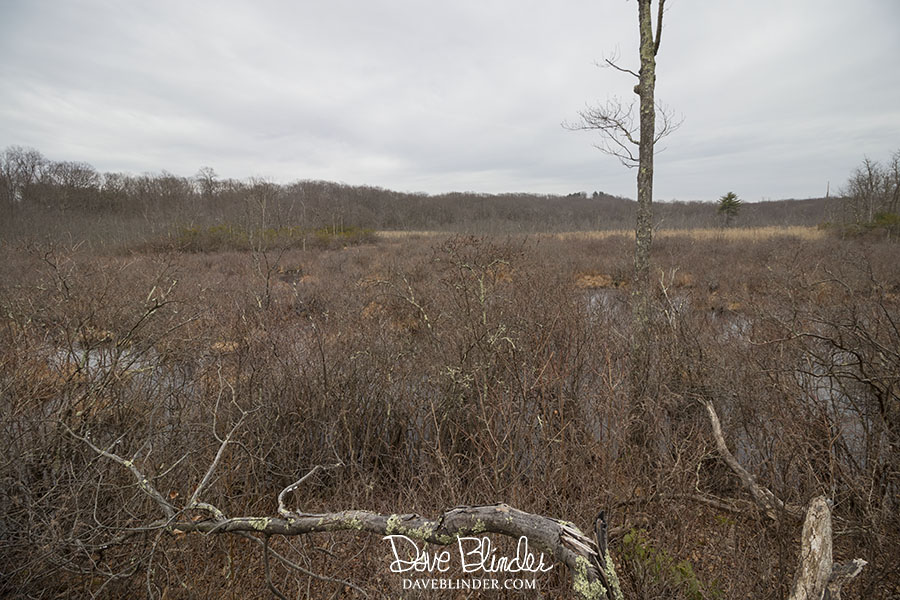 "wildcat ridge wildlife management area rockaway township"