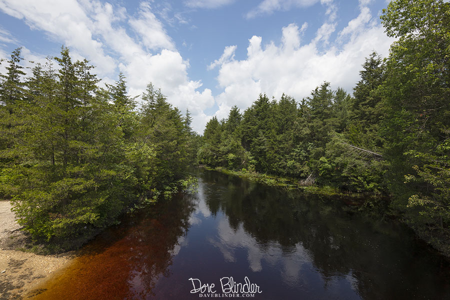 2ga 483A2739 copy double trouble.jpg