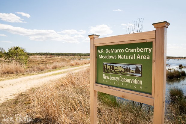 2ia IMG_6954 copy fpp.jpg