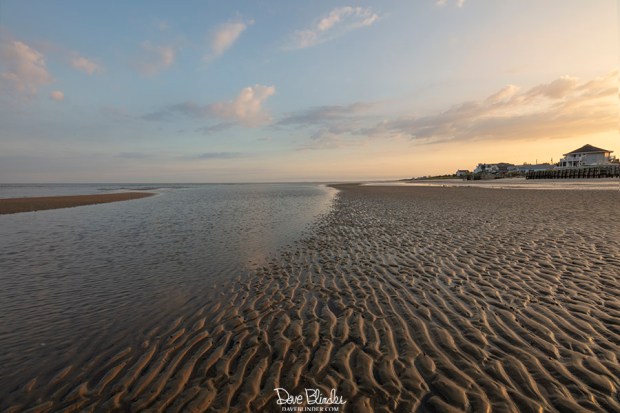 fbook 483A3938 copy.jpg