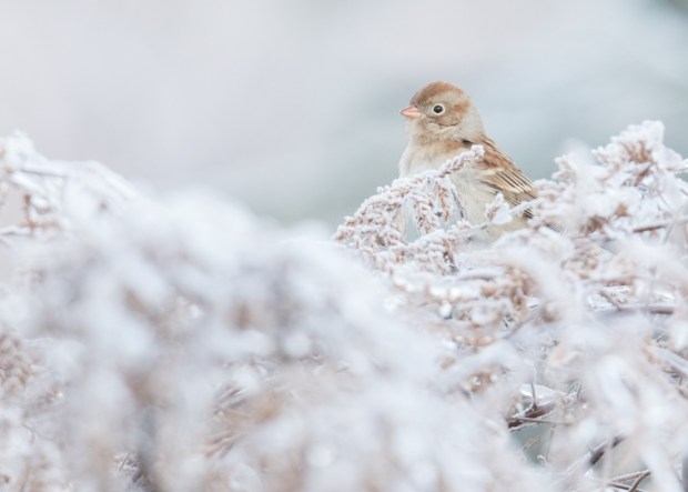 2019 Boonton CDC-4.jpg