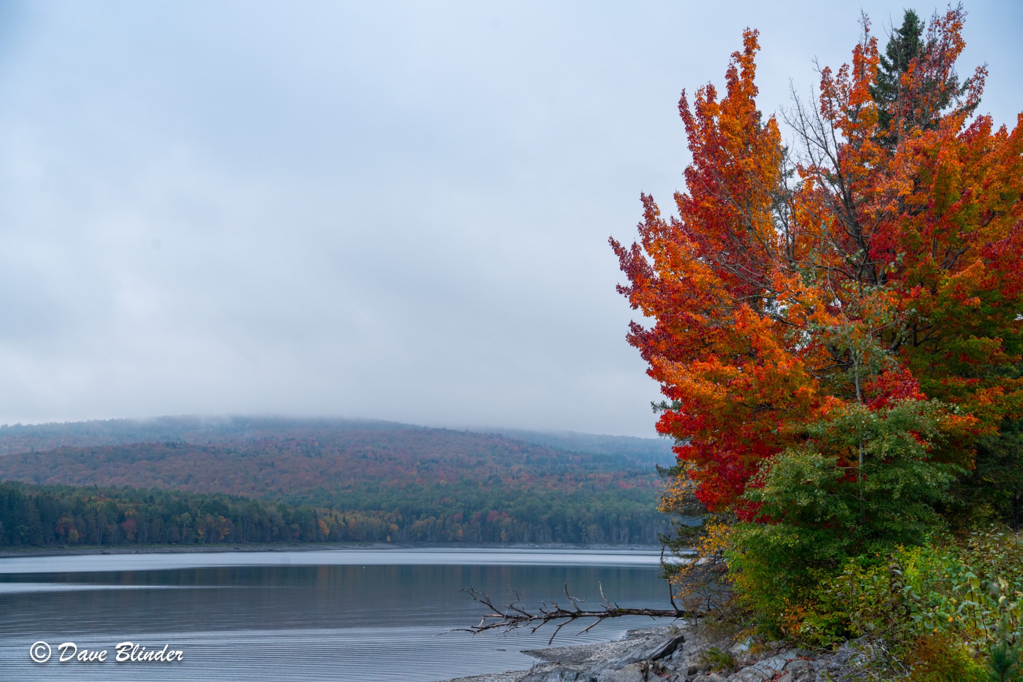 DSC09274 - Lake Francis and Fall Colors